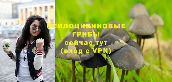 ешки Абинск