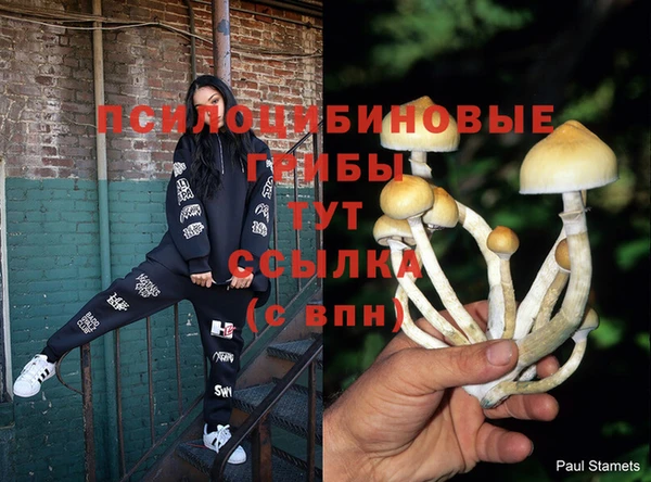ешки Абинск